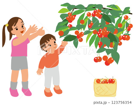 サクランボ狩りをする子どものイラスト03手を伸ばしてさくらんぼを摘もうとしている姉弟 123756354