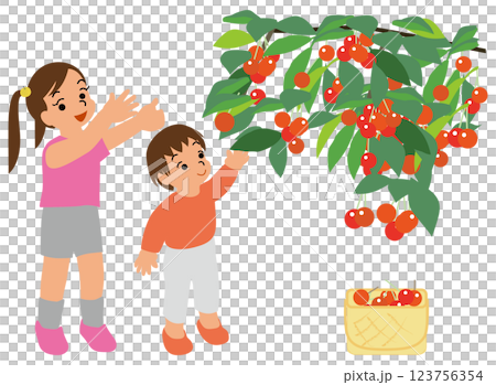 サクランボ狩りをする子どものイラスト03手を伸ばしてさくらんぼを摘もうとしている姉弟 123756354