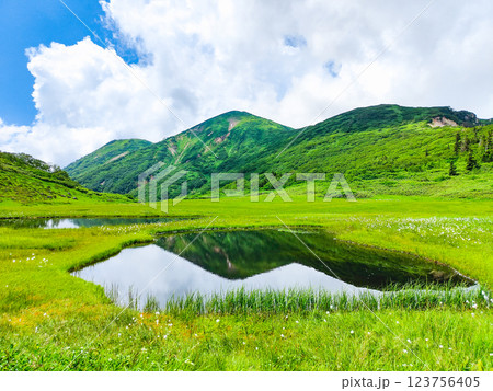 夏の火打山・妙高山登山(天狗の庭と火打山) 夏の火打山・妙高山登山(天狗の庭と火打山) 123756405