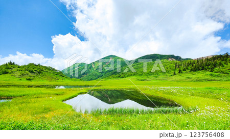 夏の火打山・妙高山登山（天狗の庭と火打山） 123756408