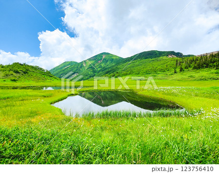 夏の火打山・妙高山登山（天狗の庭と火打山） 123756410