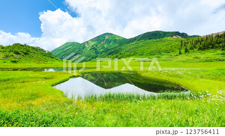 夏の火打山・妙高山登山(天狗の庭と火打山) 夏の火打山・妙高山登山(天狗の庭と火打山) 123756411