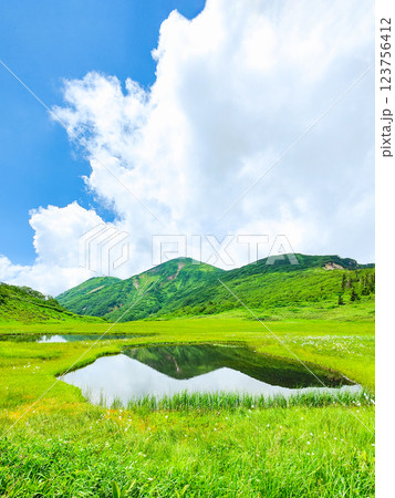 夏の火打山・妙高山登山(天狗の庭と火打山) 夏の火打山・妙高山登山(天狗の庭と火打山) 123756412