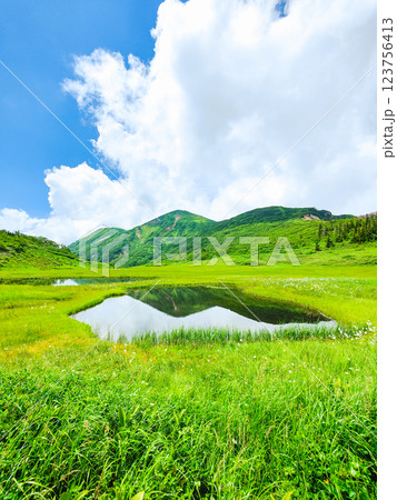 夏の火打山・妙高山登山(天狗の庭と火打山) 夏の火打山・妙高山登山(天狗の庭と火打山) 123756413