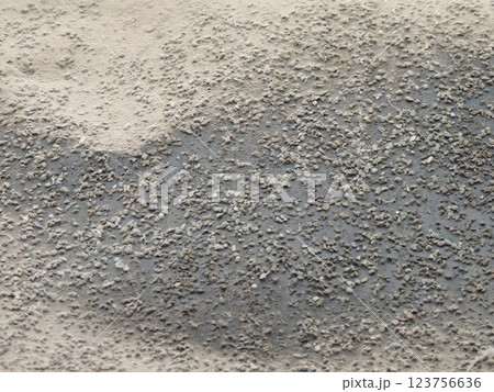 gray, dirty piece of roofing felt with crumbs and dust as abstract rough dark background, fragment of old dilapidated roof covering with traces of environmental impact 123756636