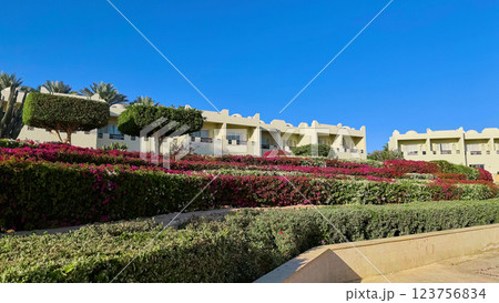 Tropical resort view with palm trees, flowers, and building Tropical resort view with palm trees, flowers, and building 123756834