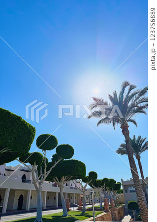 Generated image Generated image 123756889