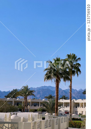 Generated image Generated image 123756910
