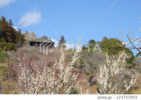 観梅の偕楽園と梅林と好文亭　 123757055