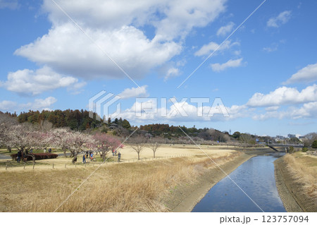 観梅の偕楽園と梅林と好文亭 観梅の偕楽園と梅林と好文亭 123757094