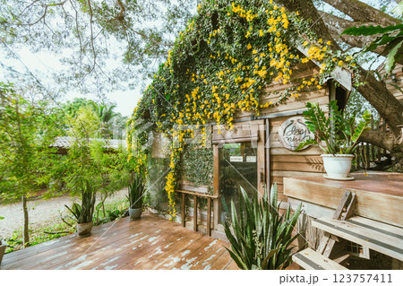 Wood house with yellow flower 123757411