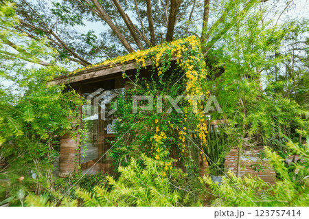 Wood house with yellow flower Wood house with yellow flower 123757414
