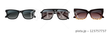 Variety of Stylish Sunglasses in Diverse Frames 123757737