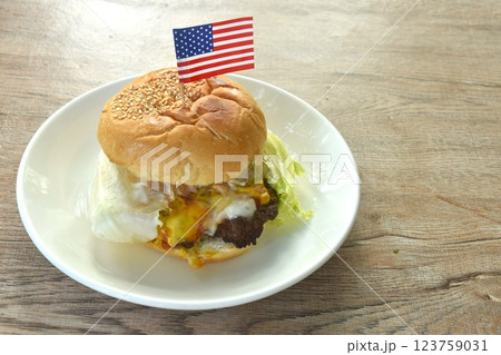 fried mashed beef cheese hamburger and lettuce stuffed mayonnaise sauce with ketchup on plate fried mashed beef cheese hamburger and lettuce stuffed mayonnaise sauce with ketchup on plate 123759031