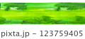Seamless abstract green watercolor texture, a background for St Patrick's Day 123759405