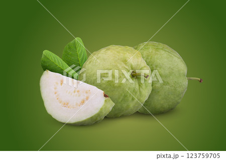 Guava fruit and leaves on a green background Guava fruit and leaves on a green background 123759705