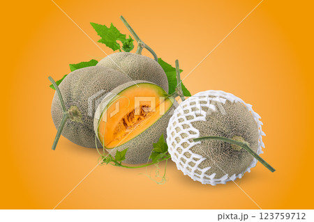 cantaloupe melon isolated on an orange background cantaloupe melon isolated on an orange background 123759712
