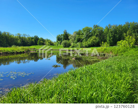 On a sunny day, a quiet blue forest river with a grassy-green shore and leaves of water lilies On a sunny day, a quiet blue forest river with a grassy-green shore and leaves of water lilies 123760128