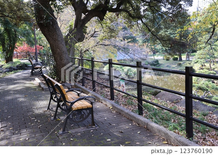 Hibiya Park Walkway with Benches by a Tranquil Pond and Trees Dec 5 2024 Hibiya Park Walkway with Benches by a Tranquil Pond and Trees Dec 5 2024 123760190