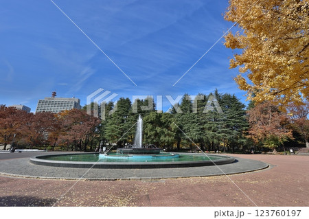 Hibiya Park with Fountain, Bright Yellow Foliage Dec 5 2024 123760197
