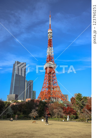 Tokyo Tower Seen From A Park Dec 5 2024 Tokyo Tower Seen From A Park Dec 5 2024 123760251