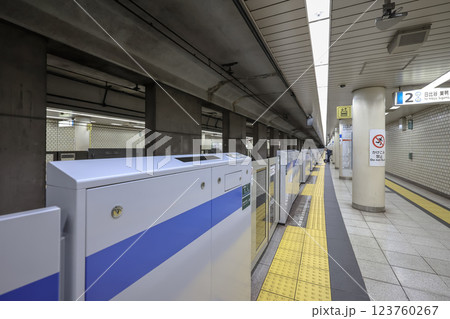 Subway Platform with Passenger Train and Safety Barriers, Shiba Park station Dec 5 2024 123760267