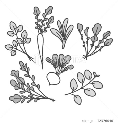 春の七草 123760401