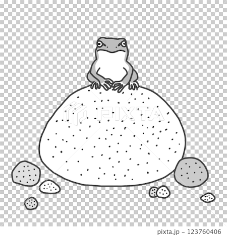 Frog sitting on a stone 123760406