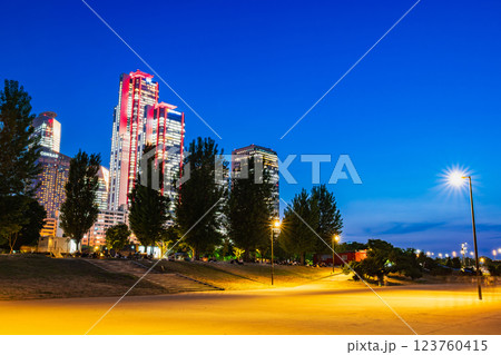 ソウル　夜の汝矣島漢江公園 123760415