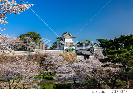 【石川県】金沢城の桜 123760772