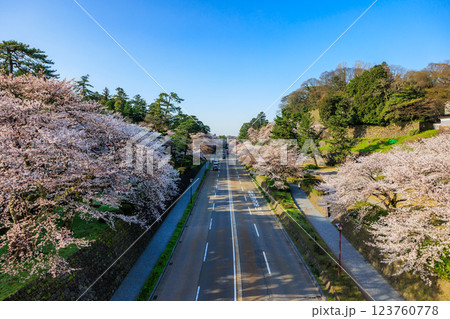 【石川県】金沢城 お堀通りの桜 123760778