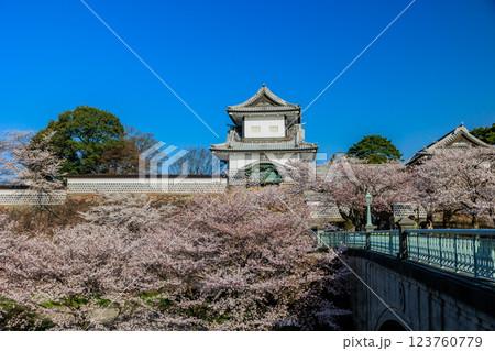【石川県】金沢城の桜 123760779
