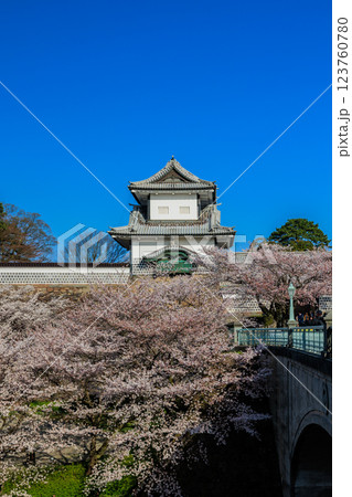 【石川県】金沢城の桜(縦写真) 【石川県】金沢城の桜(縦写真) 123760780