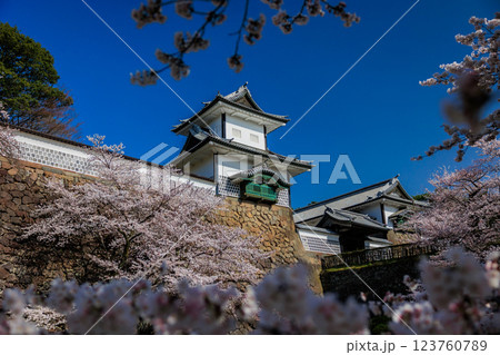 【石川県】金沢城の桜 123760789
