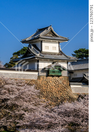 【石川県】金沢城の桜(縦写真) 【石川県】金沢城の桜(縦写真) 123760791