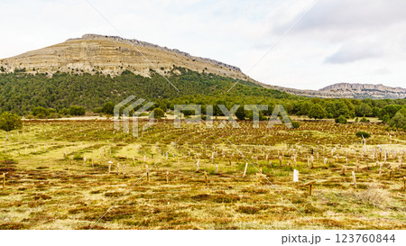Sad Hill Cemetery in Spain. Tourist place 123760844
