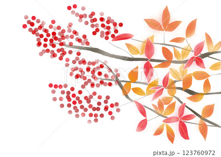 南天の実のカード2 123760972