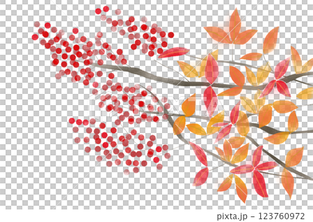 南天の実のカード2 123760972