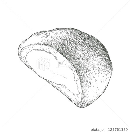 クリームパンの手描きイラスト 123761589