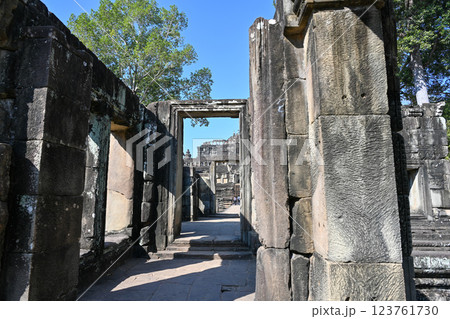 アンコールトム・バプーオン，アンコール遺跡群／カンボジア 123761730