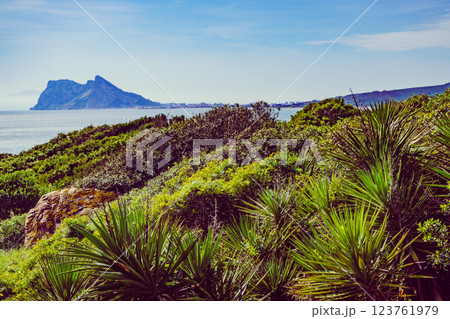 British Gibraltar rock on spanish coast. 123761979