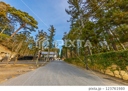 晩秋の瑞厳寺・参道(宮城県宮城郡松島町) 123761980