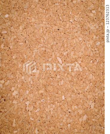 コルクのテクスチャー コルクのテクスチャー 123762313