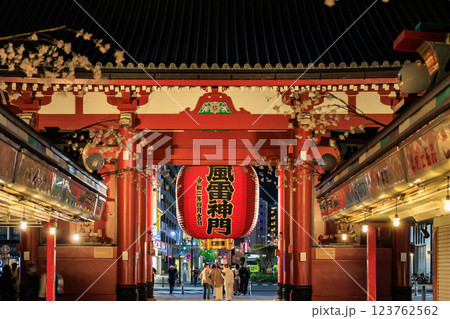 【東京都】浅草寺のライトアップ 123762562