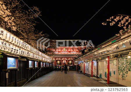 【東京都】浅草寺のライトアップ 123762563