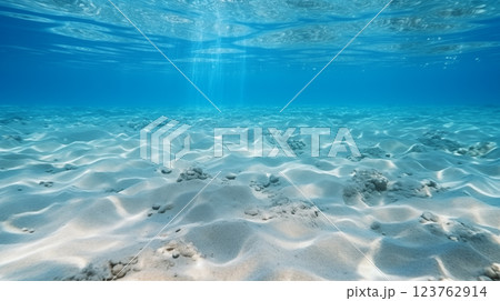 Tranquil underwater scene with copy space Tranquil underwater scene with copy space 123762914