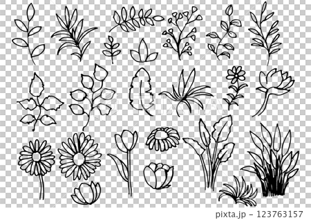 手書きの木の葉や花や草のボタニカル線画のイラスト ベクター 手書きの木の葉や花や草のボタニカル線画のイラスト ベクター 123763157