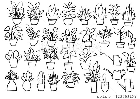 手描きの観葉植物イラストセットの線画 ベクター 手描きの観葉植物イラストセットの線画 ベクター 123763158