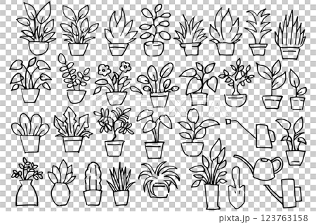 手描きの観葉植物イラストセットの線画 ベクター 手描きの観葉植物イラストセットの線画 ベクター 123763158