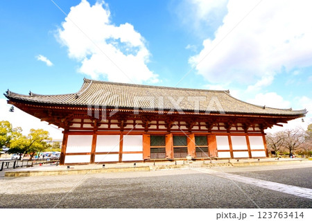 京都府　東寺・講堂（重要文化財） 京都市 南区 九条町　2022年2月 123763414